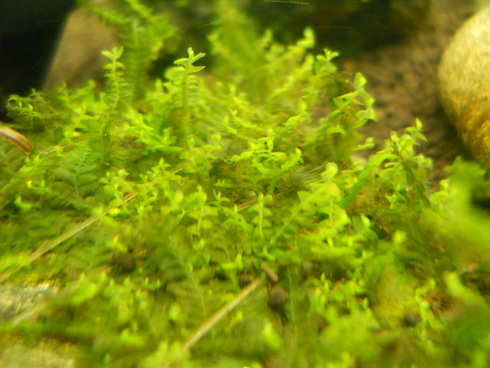 a0185255_22303489.jpg
