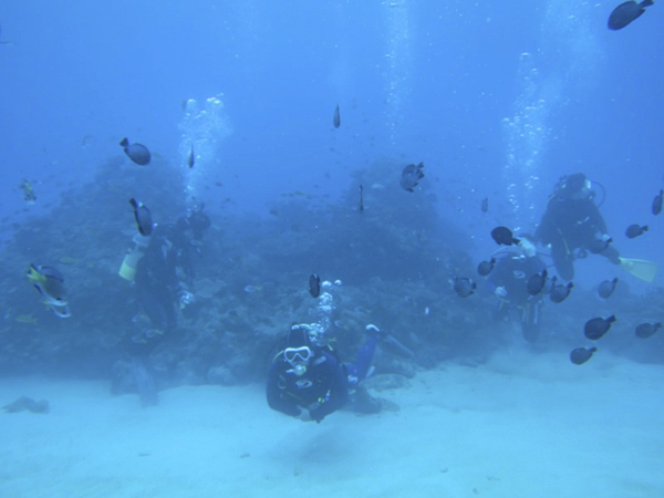 b0062363_2142979.jpg