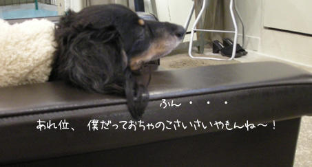 b0249672_1230810.jpg