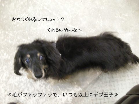 b0249672_16273531.jpg