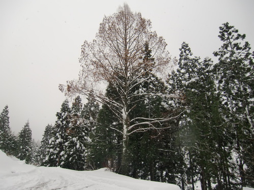 f0225473_21282218.jpg