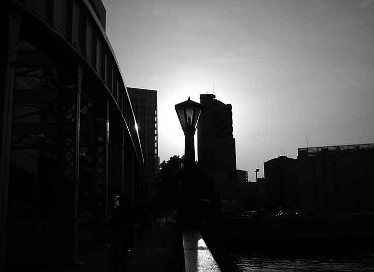 b0057679_8441223.jpg