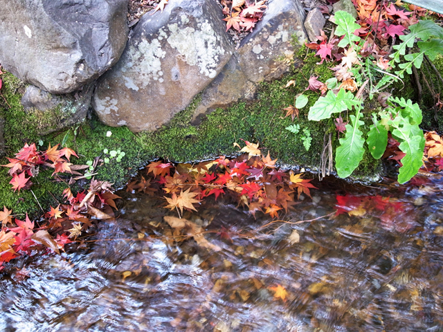 b0244280_123085.jpg
