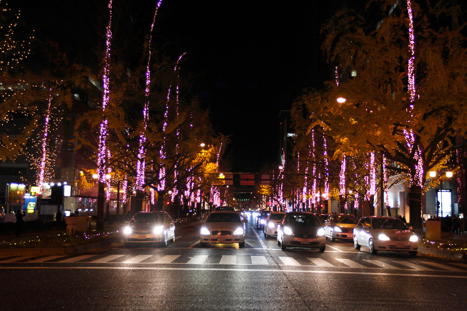 c0059485_014322.jpg