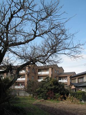 e0130185_18134787.jpg