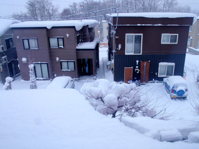 a0007388_15571878.jpg