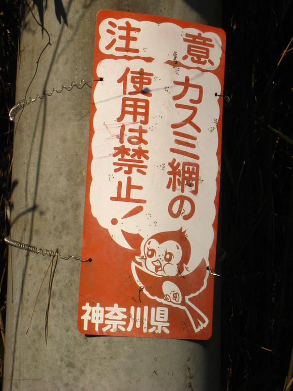 d0224990_2019841.jpg