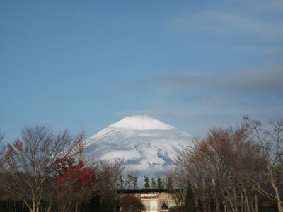 d0118592_16384691.jpg