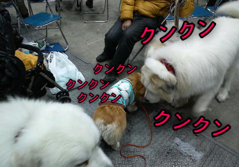 f0234395_2030562.jpg