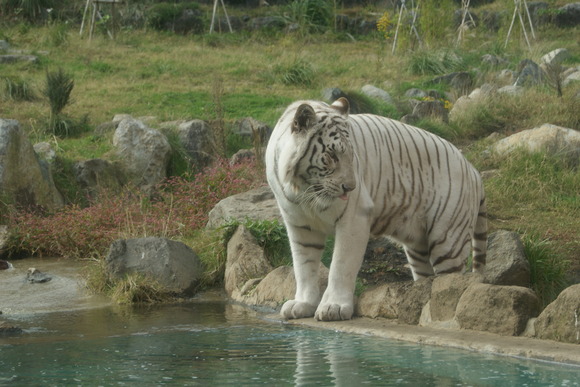 d0164100_1122581.jpg