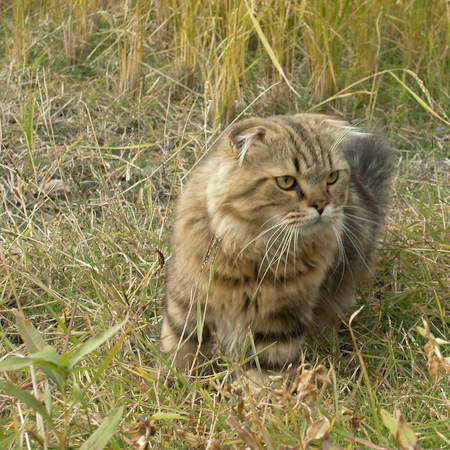 f0239100_7471036.jpg