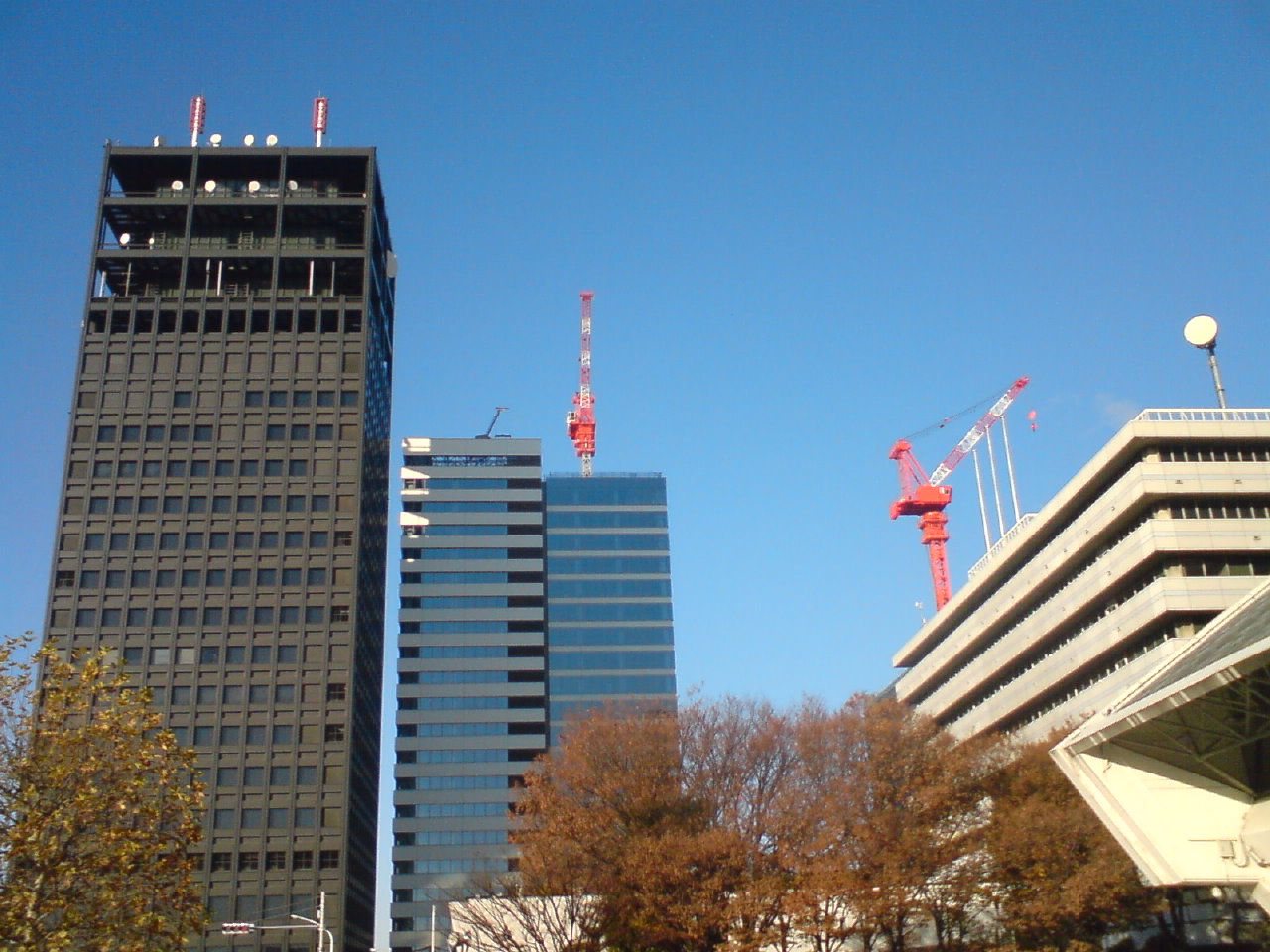 c0202101_01221.jpg