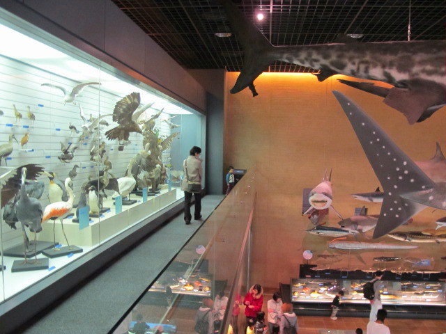 c0036203_1633393.jpg