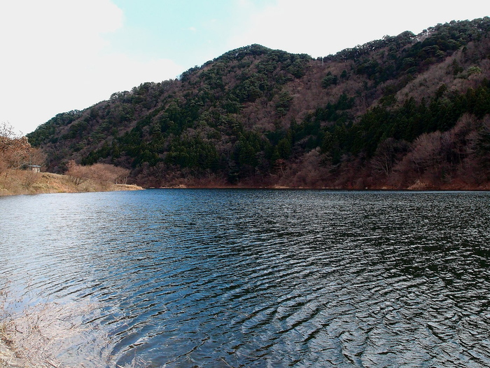 d0126708_22234532.jpg