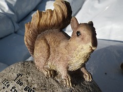 c0190010_2005434.jpg