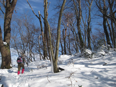 a0164011_11434462.jpg