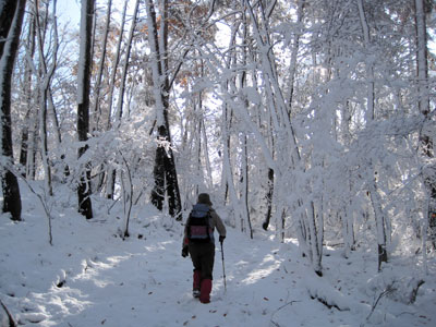 a0164011_1144449.jpg