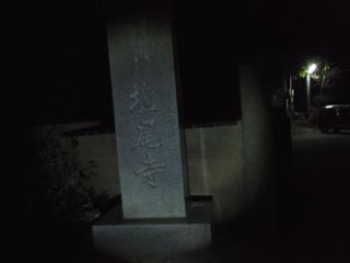 b0183911_0384999.jpg