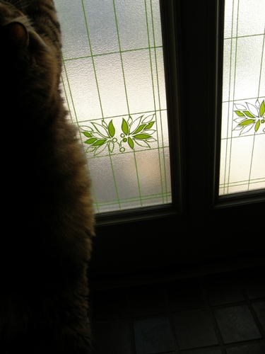 c0158916_20101244.jpg