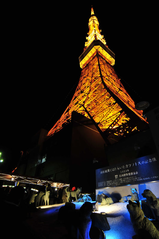 f0206417_21511420.jpg