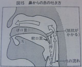f0100920_8465180.jpg