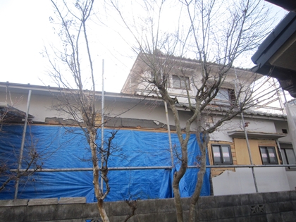 a0105023_2012741.jpg
