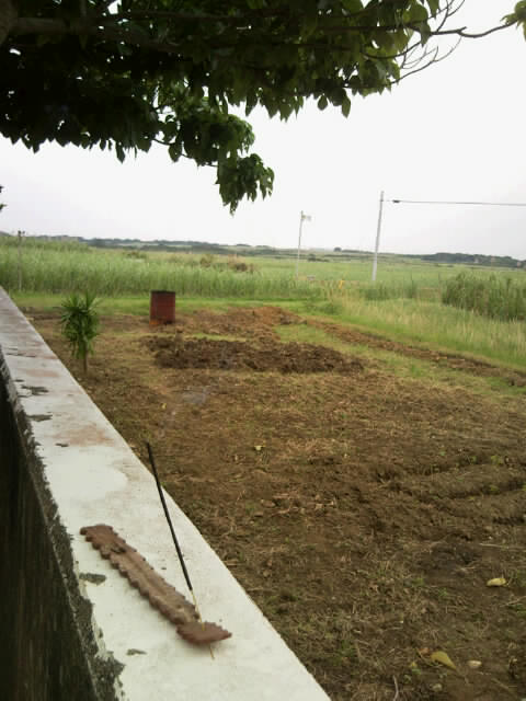 f0197325_841342.jpg