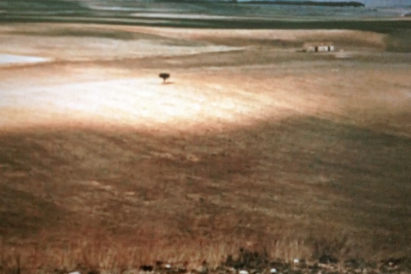 a0229731_1921116.jpg