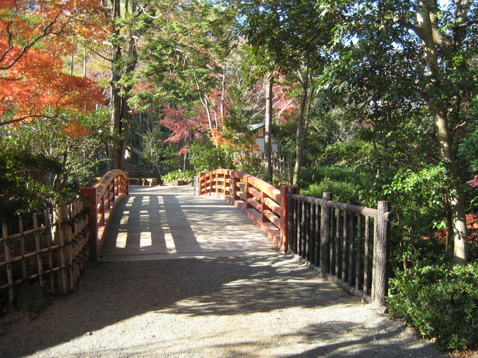 e0255638_17402573.jpg