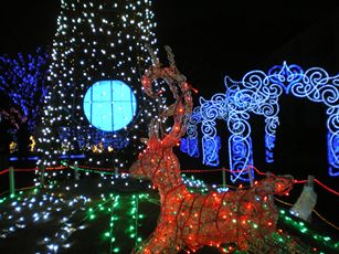 b0220251_603488.jpg