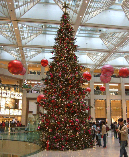 f0190653_9593930.gif