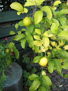 a0021558_22362243.jpg