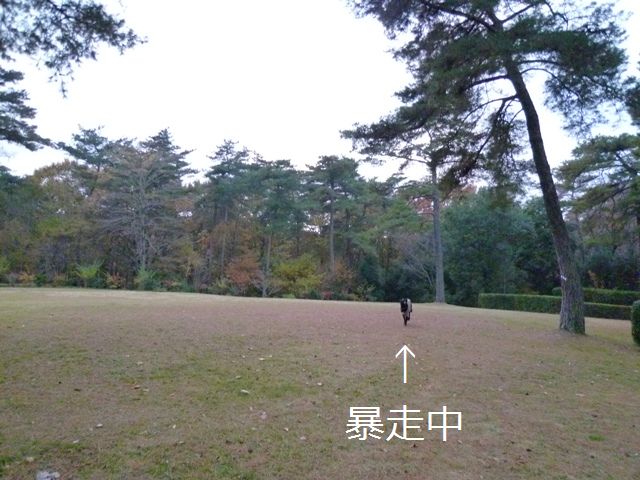 c0134862_21552843.jpg