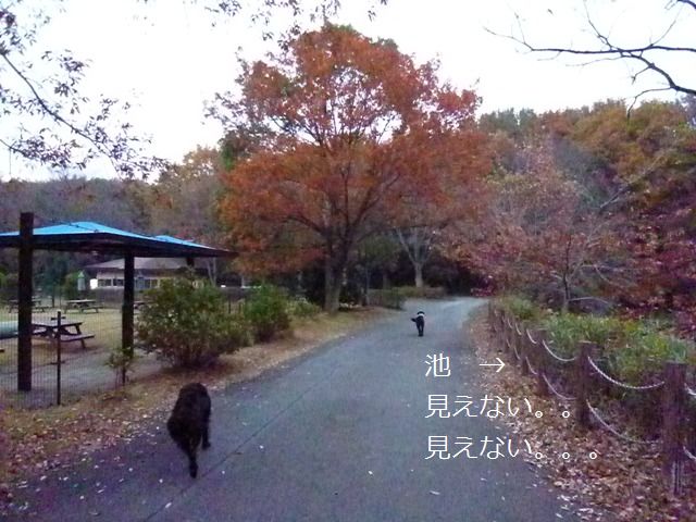 c0134862_21555616.jpg