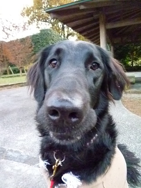 c0134862_2155661.jpg