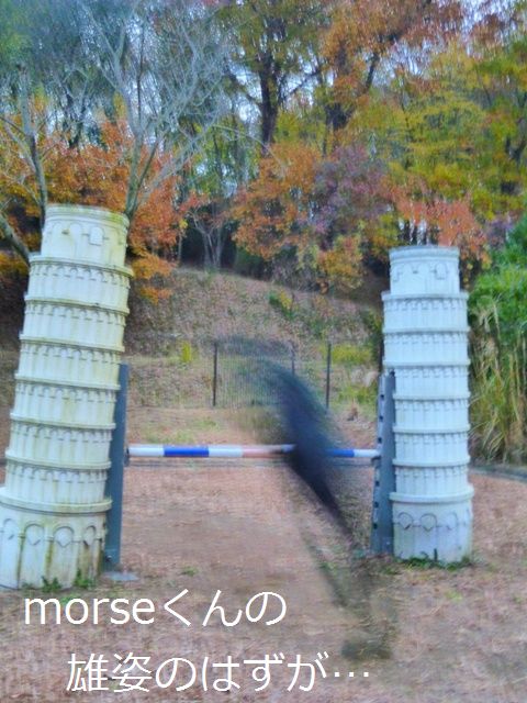 c0134862_21561885.jpg