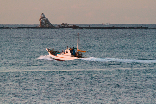 a0157069_832470.jpg