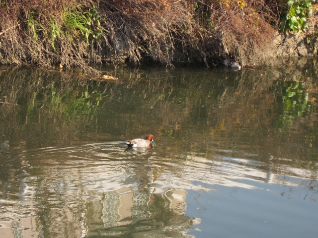 f0088569_10234946.jpg