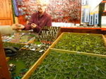c0216472_17143382.jpg