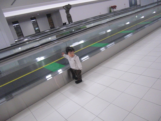 f0200773_1029596.jpg