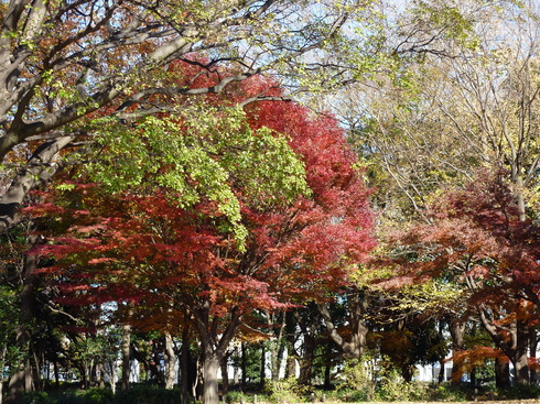 e0207477_0532129.jpg