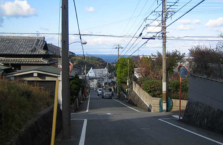 b0057679_836021.jpg