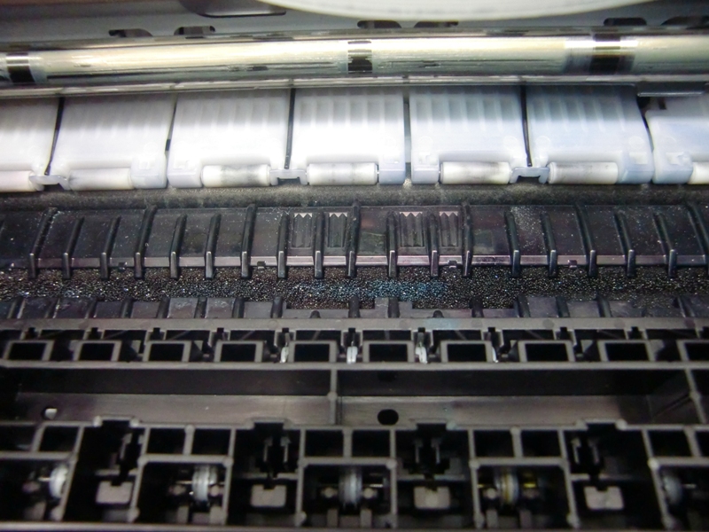 f0238779_7491657.jpg