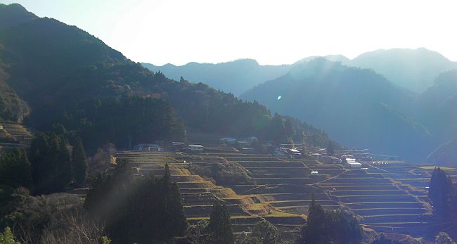 d0178580_1517243.jpg