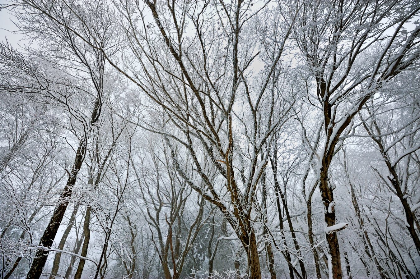 c0138991_19325747.jpg