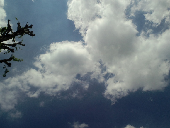 d0135694_0253420.jpg