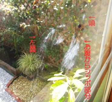 b0240299_17608.jpg