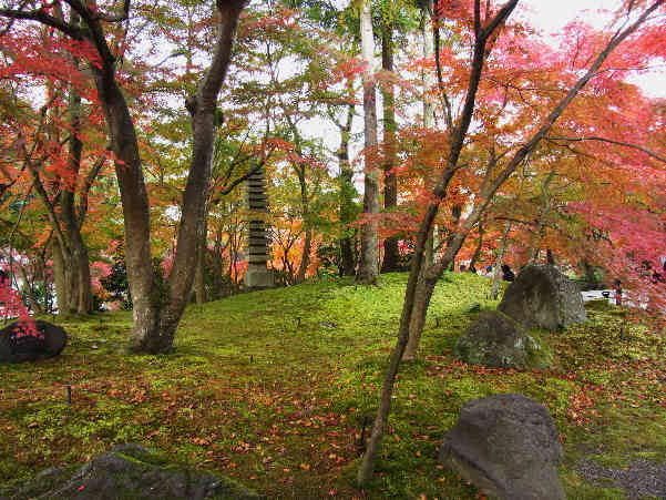 d0154609_81522.jpg