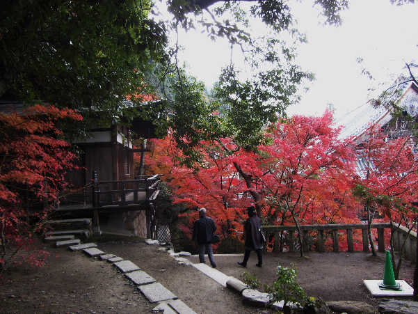 d0154609_854416.jpg