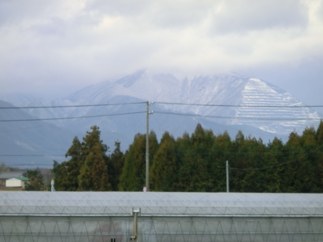 b0062214_202153.jpg